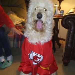 Meet your Posher, Bobby